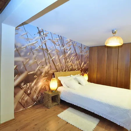 Sea Of Galilee Site Apartment Chorazim Room photo