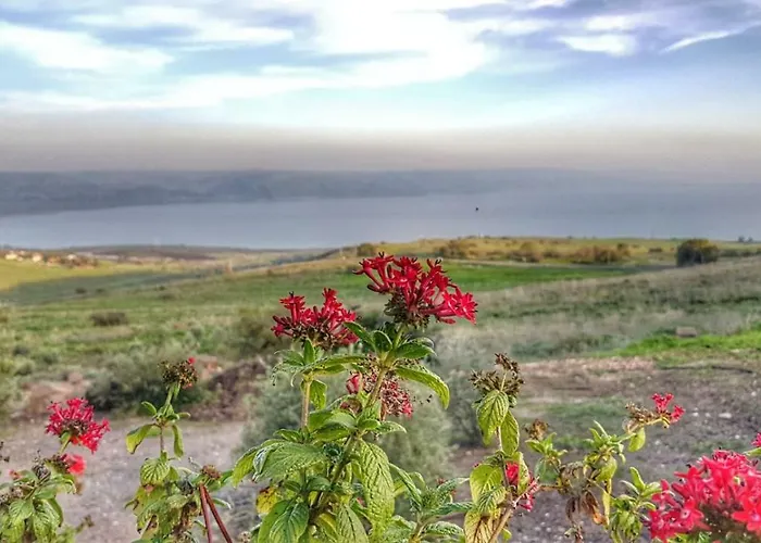 Sea Of Galilee Site
