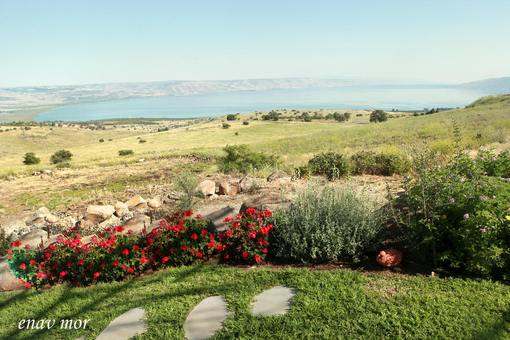 Apartment Sea Of Galilee Site Chorazim