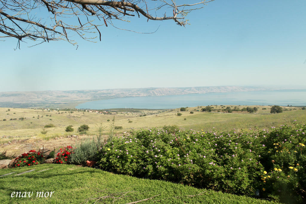Apartment Sea Of Galilee Site