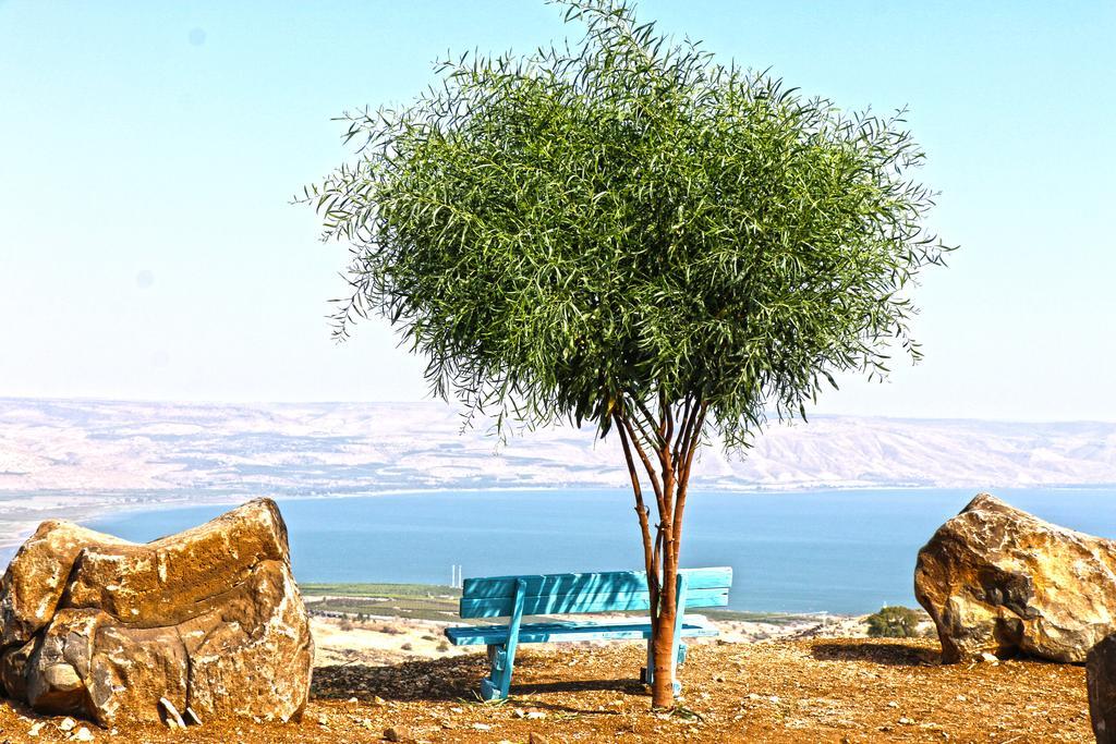 Apartment Sea Of Galilee Site