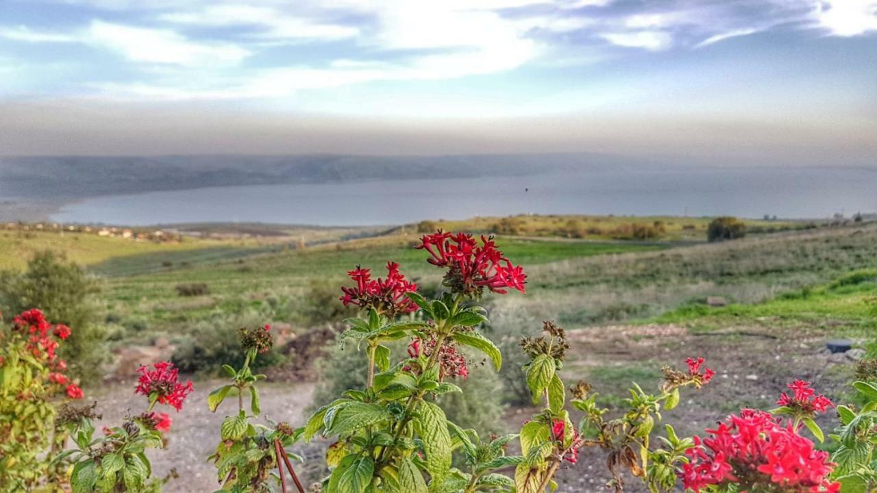 Sea Of Galilee Site *