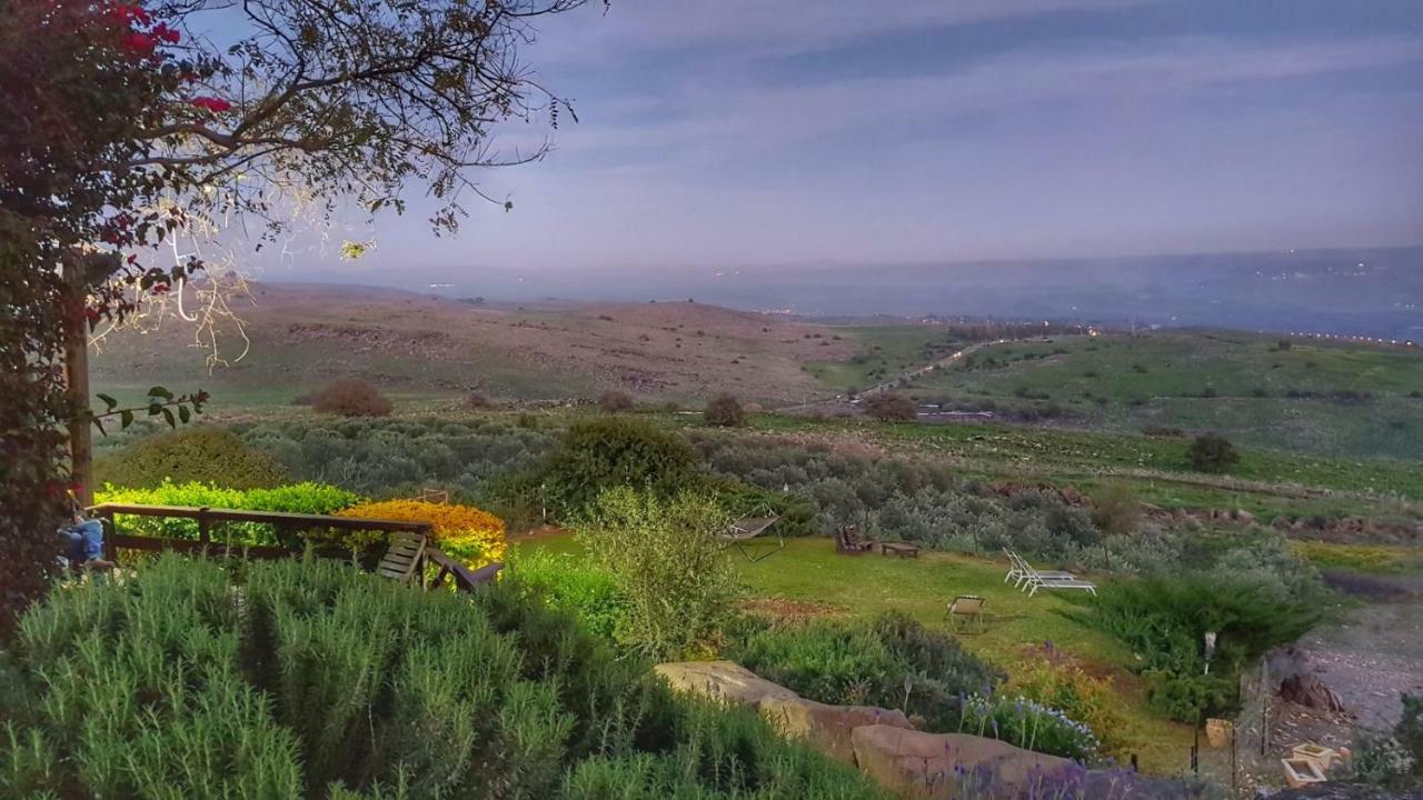 Apartment Sea Of Galilee Site
